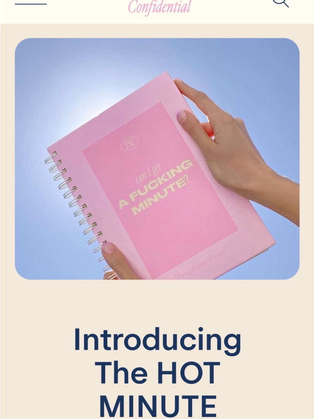 The Skinny Confidential Planner